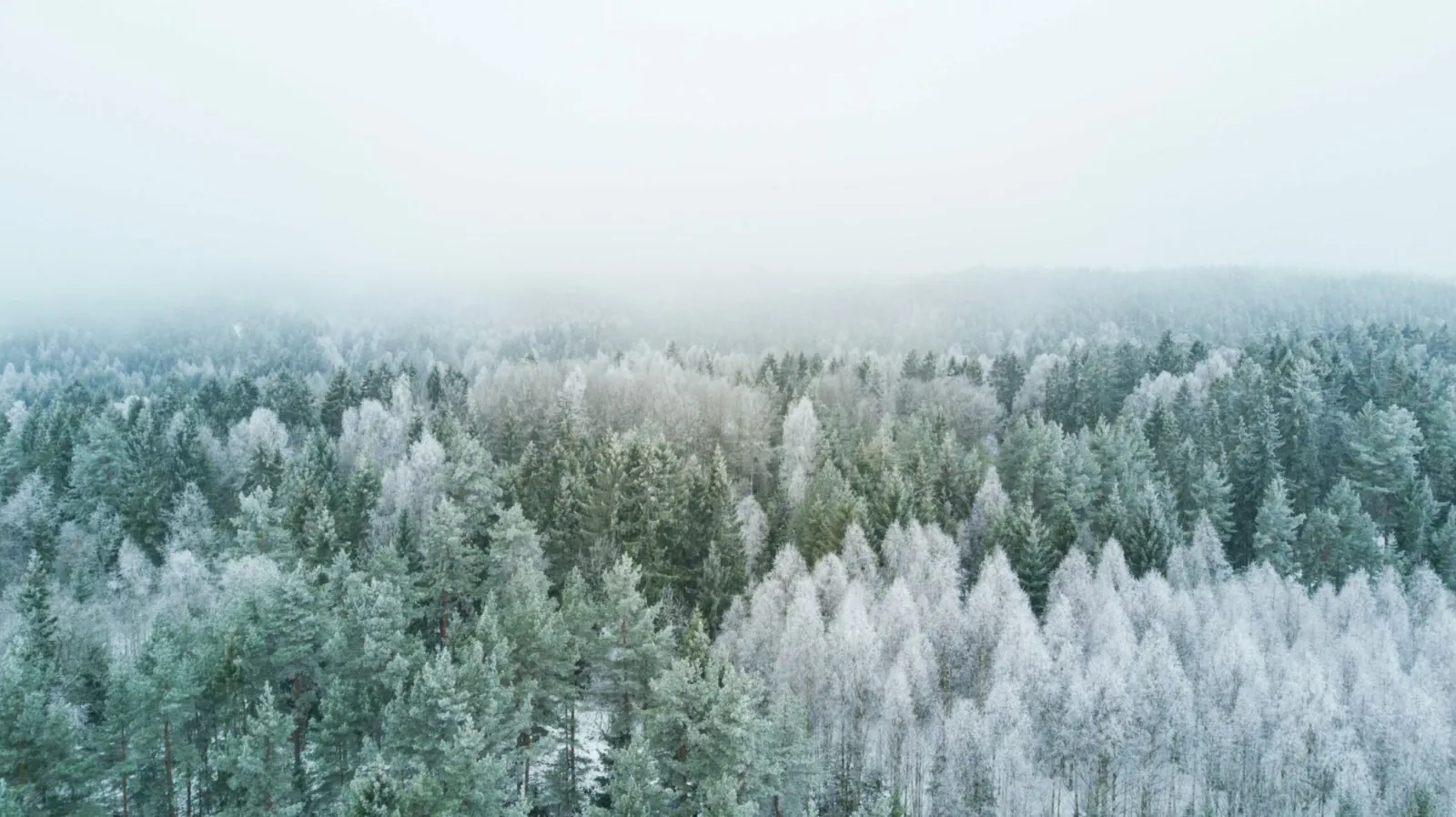 4 Dinge, die man im Winter unbedingt erleben sollte