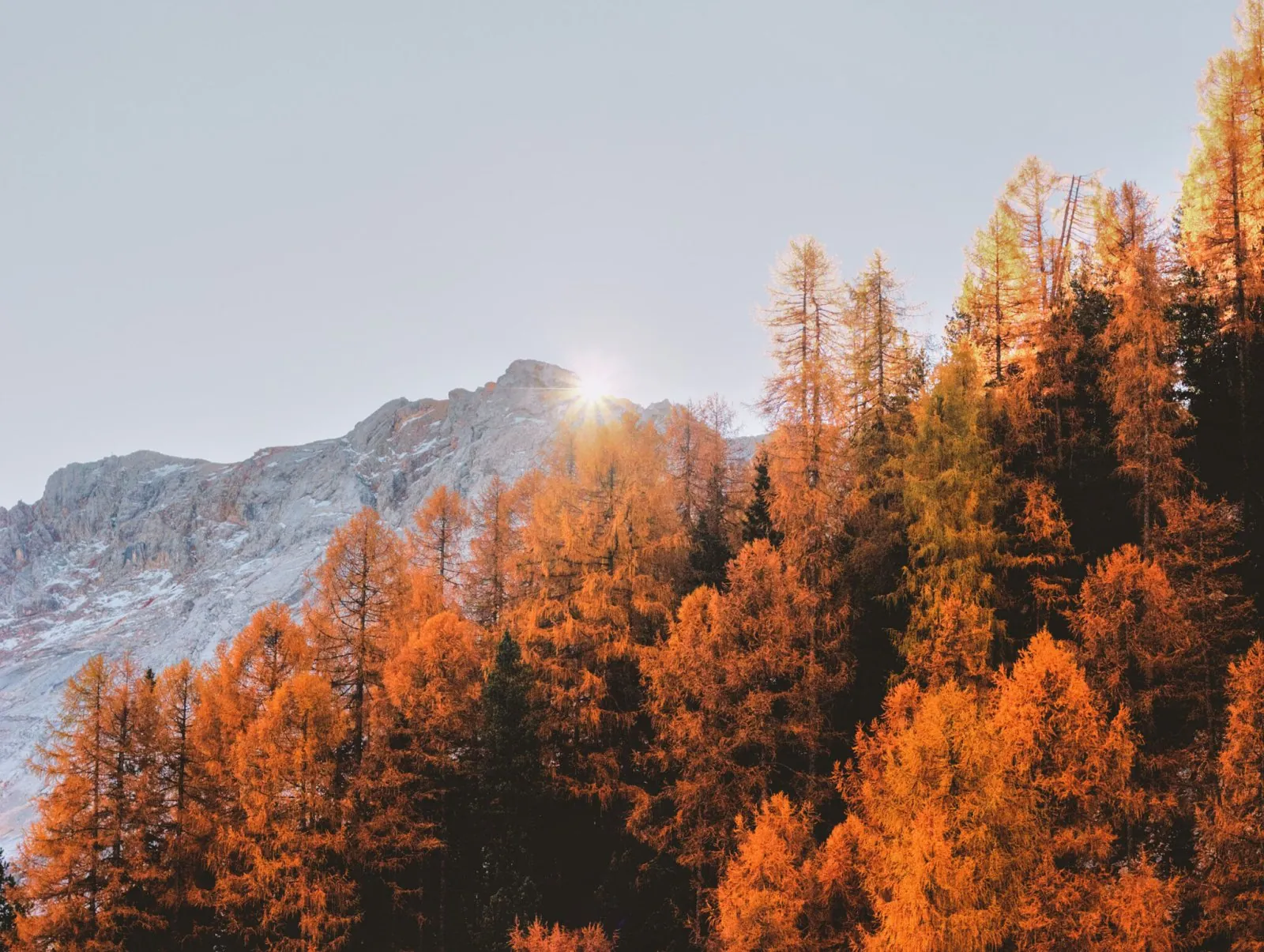 Herbstliche Impulse: Neuer Beginn in der Natur
