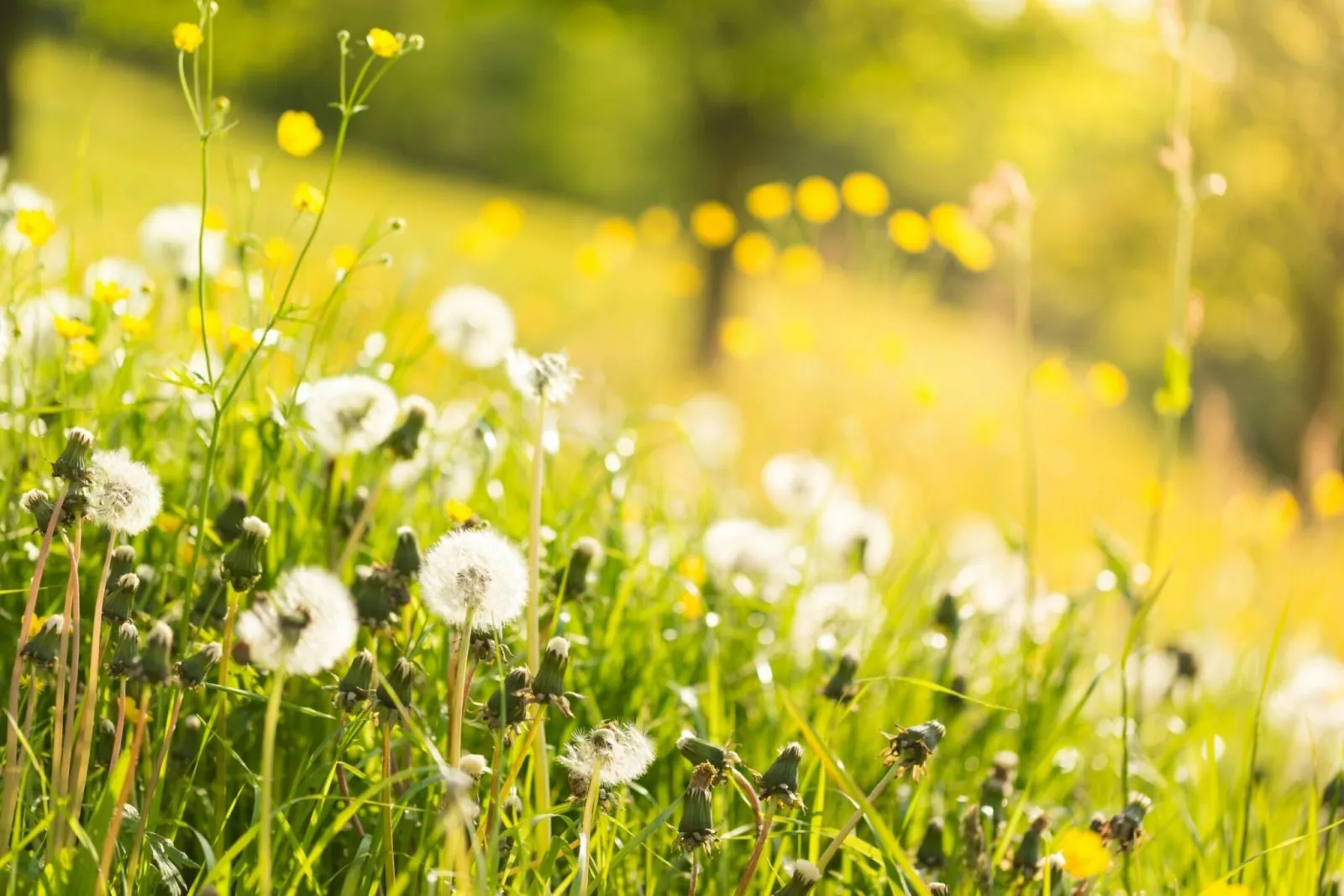 Abenteurer aufgepasst: Der Frühling steht vor der Tür