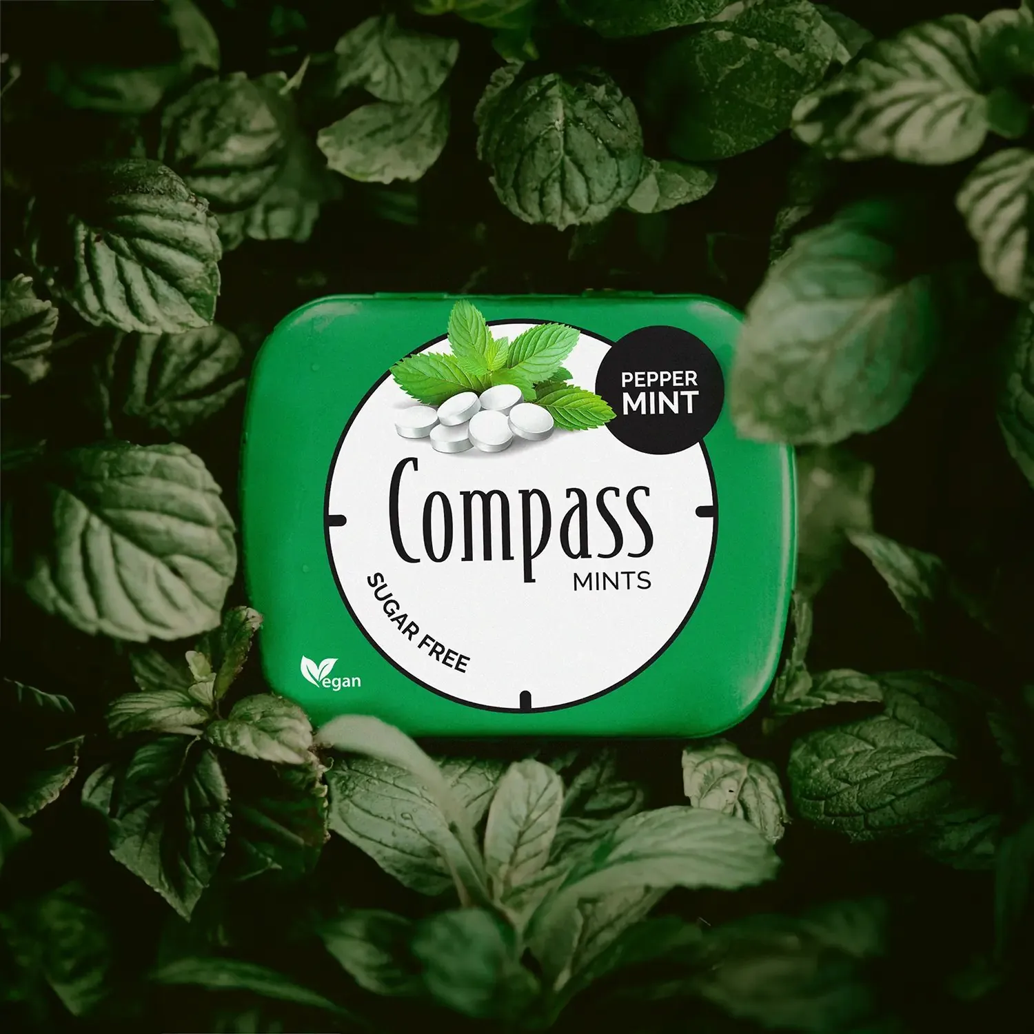 Compass Mints x Tree Nation: Gemeinsam für eine klimaneutrale Zukunft